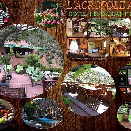 Acropole 3* Asco